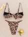 263 257 Leopar Proion 3 12Fb6F97