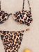 263 257 Leopar Proion 2 2868742C