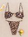 263 257 Leopar Proion 1 3E124176