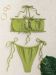 113 Olive Proion 2024 3A 4Dbecf6D