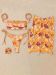 502 Tropical Blossom Proion 1A 923E1312
