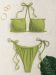 113 Olive Proion 2024 1A A0Cddf03